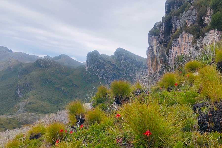 Planning Guide: Western Arthur Range Traverse Descent down kappa moraine