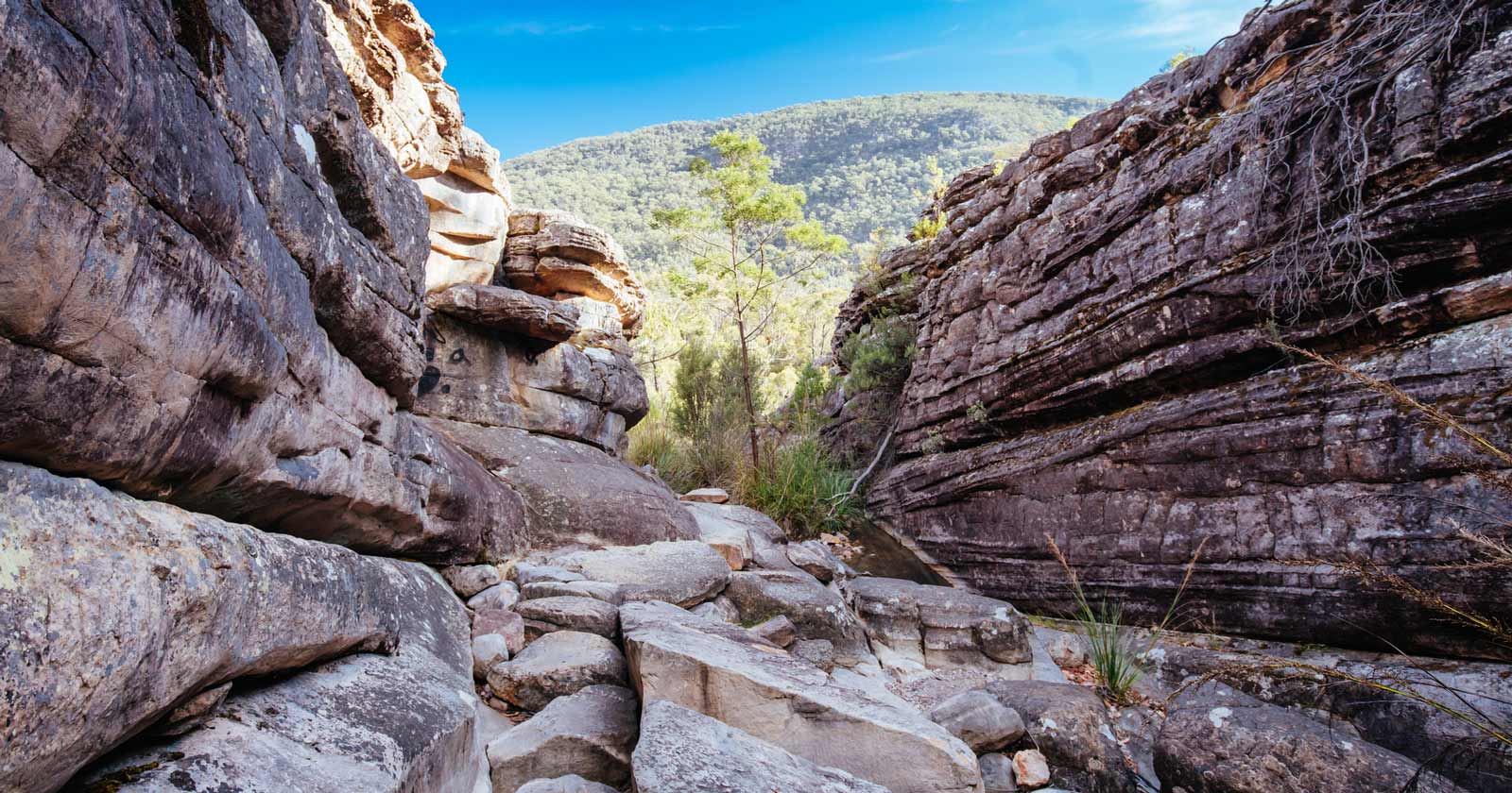Wonderland range: grand canyon in the grampians