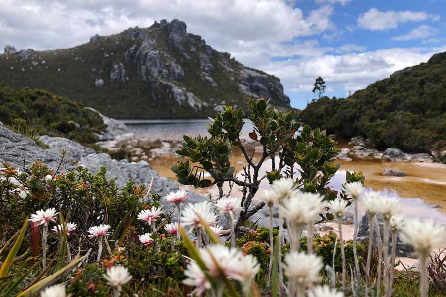Haven of Lake Oberon Image of lake oberon with flowers in the foreground