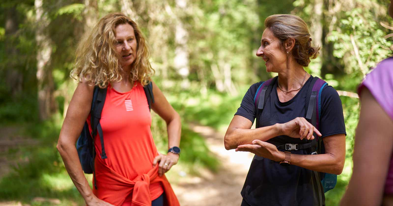 Breaking News: How Weekly Hikes Fuel Non-Stop Stories Hiking talking machines