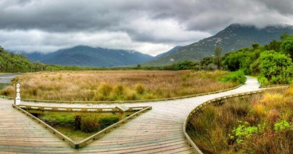 Loo-errn track wilsons prom