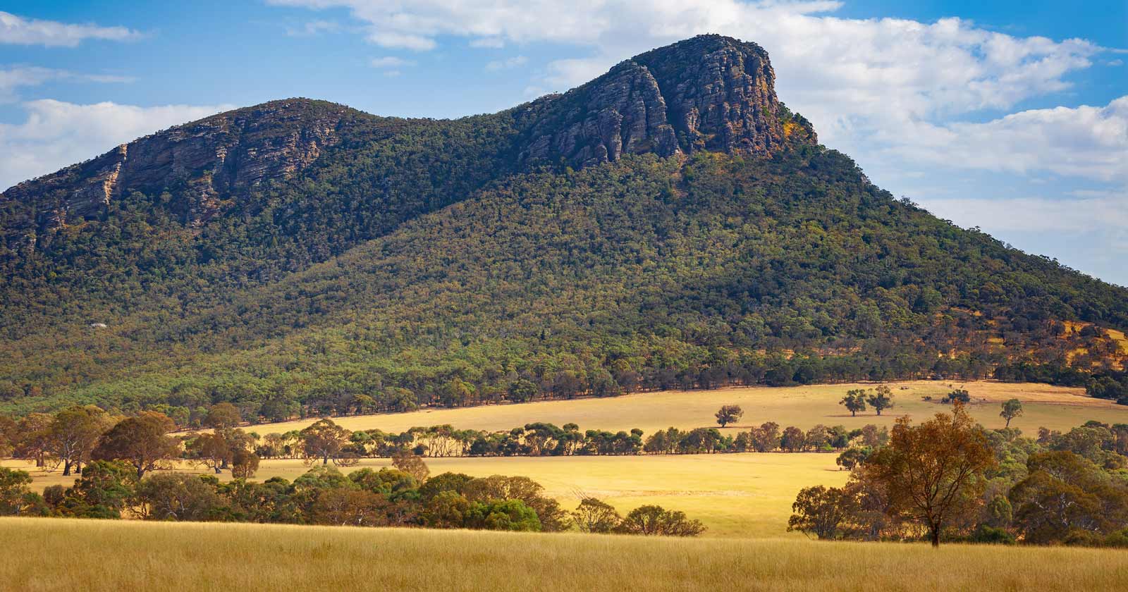 Grampians national park: victoria's ancient bushwalking trails trail hiking australia