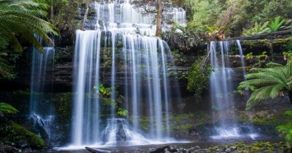 Russell falls tasmania