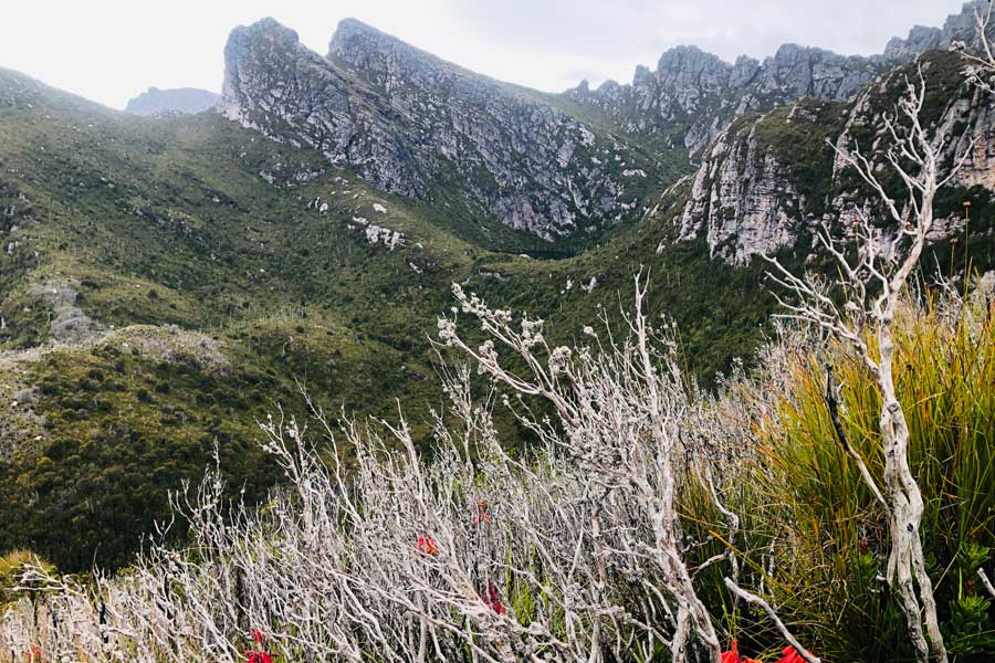 Planning Guide: Western Arthur Range Traverse View from kappa moraine