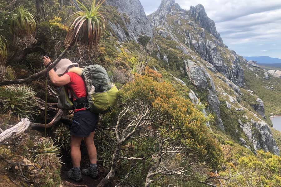 Planning Guide: Western Arthur Range Traverse Battling through dense shrubs