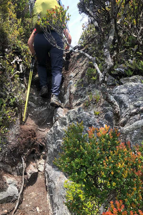 challenging-terrain Image of julie and typical terrain
