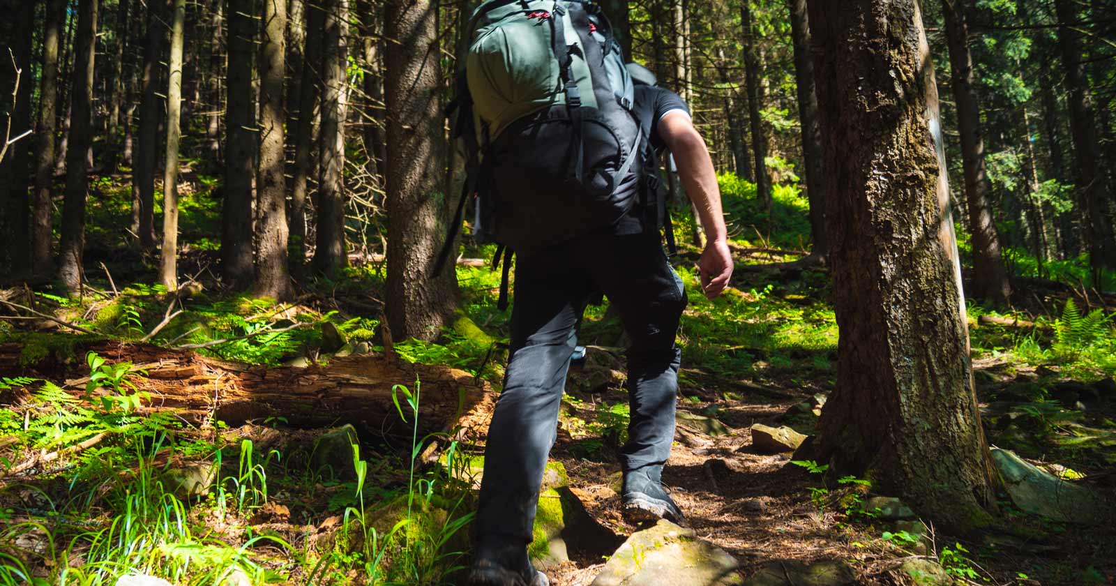 Back pain while hiking: Causes and prevention Hiker hunched over due to heavy pack