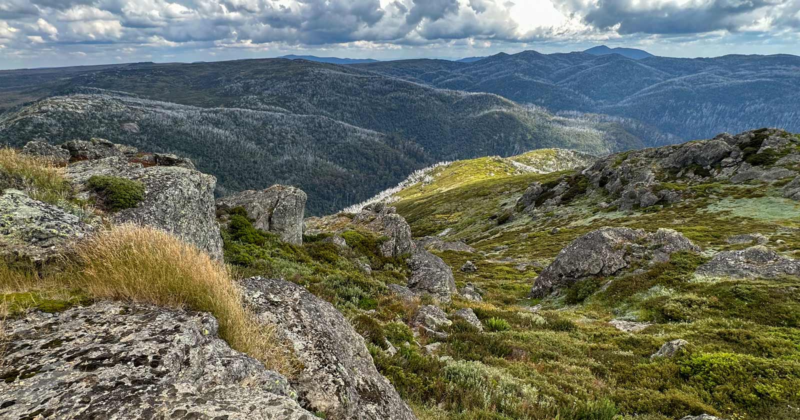 A hiker's guide to Victoria's 10 highest peaks Mount mckay (1,849m)
