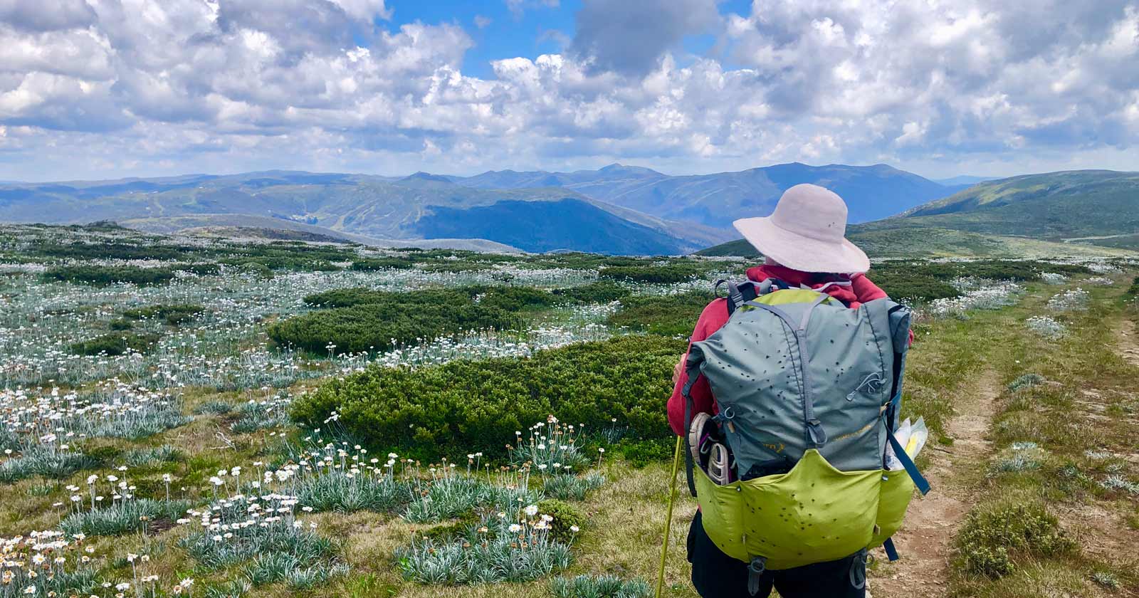 A hiker's guide to Victoria's 10 highest peaks Mount nelse west (1,891m)