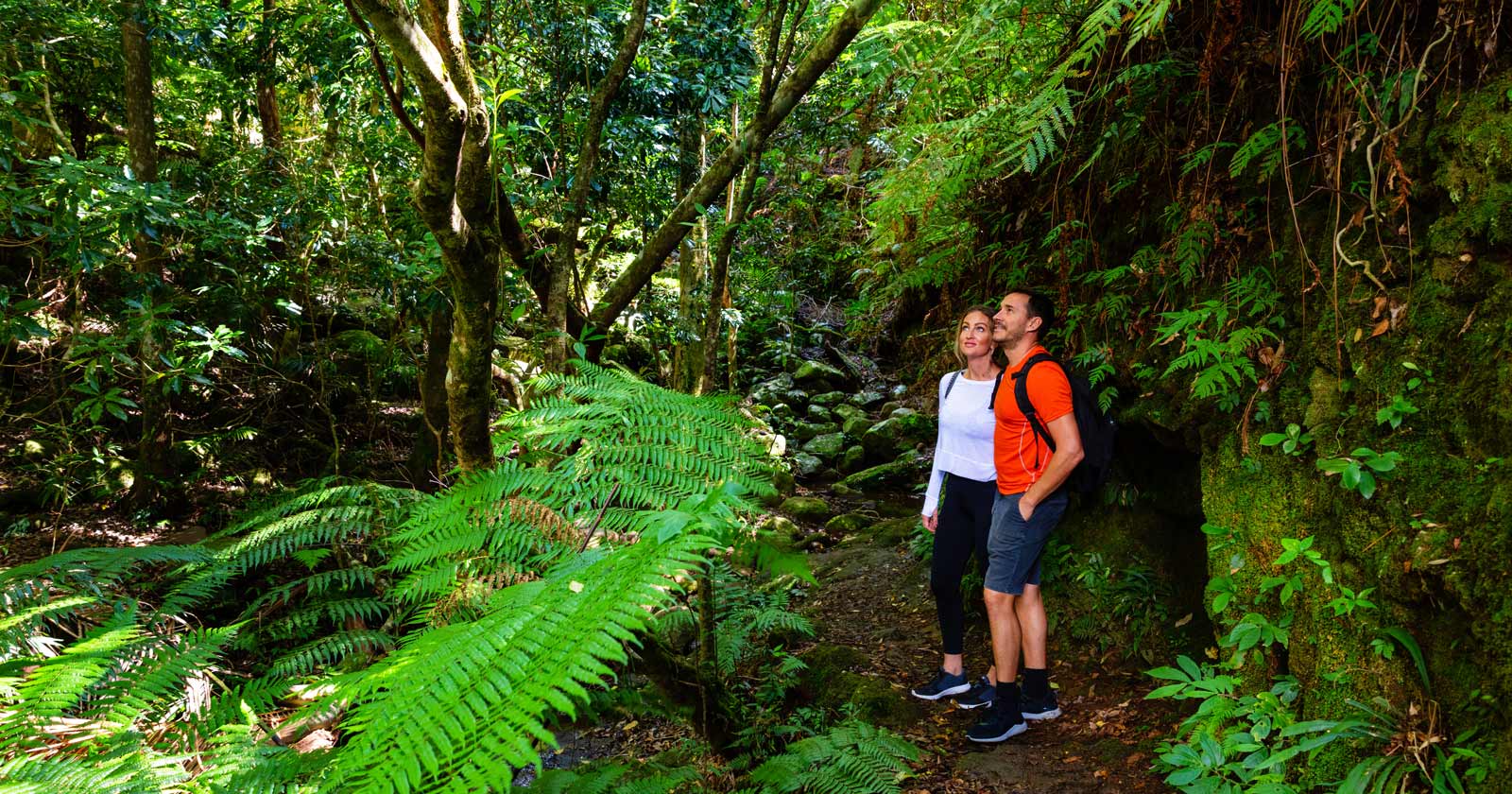 The joy of exploration