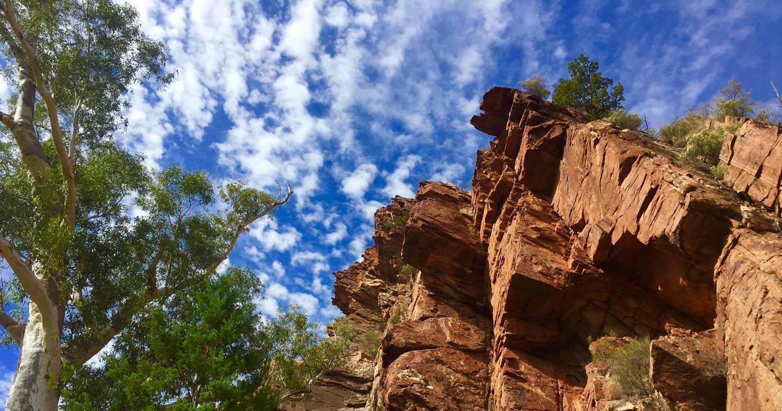 Hike South Australia: Explore Diverse Landscapes Bunyeroo & wilcolo creeks circuit