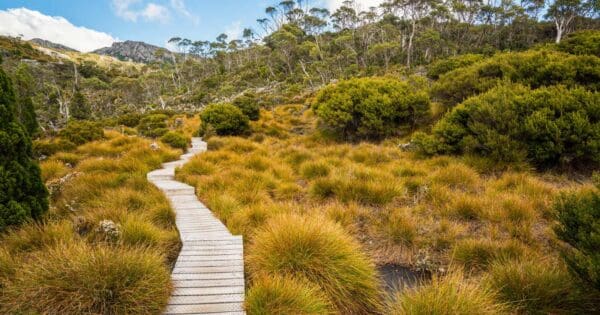 Hike tasmania
