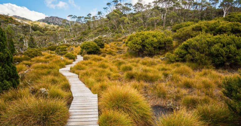 Hike tasmania