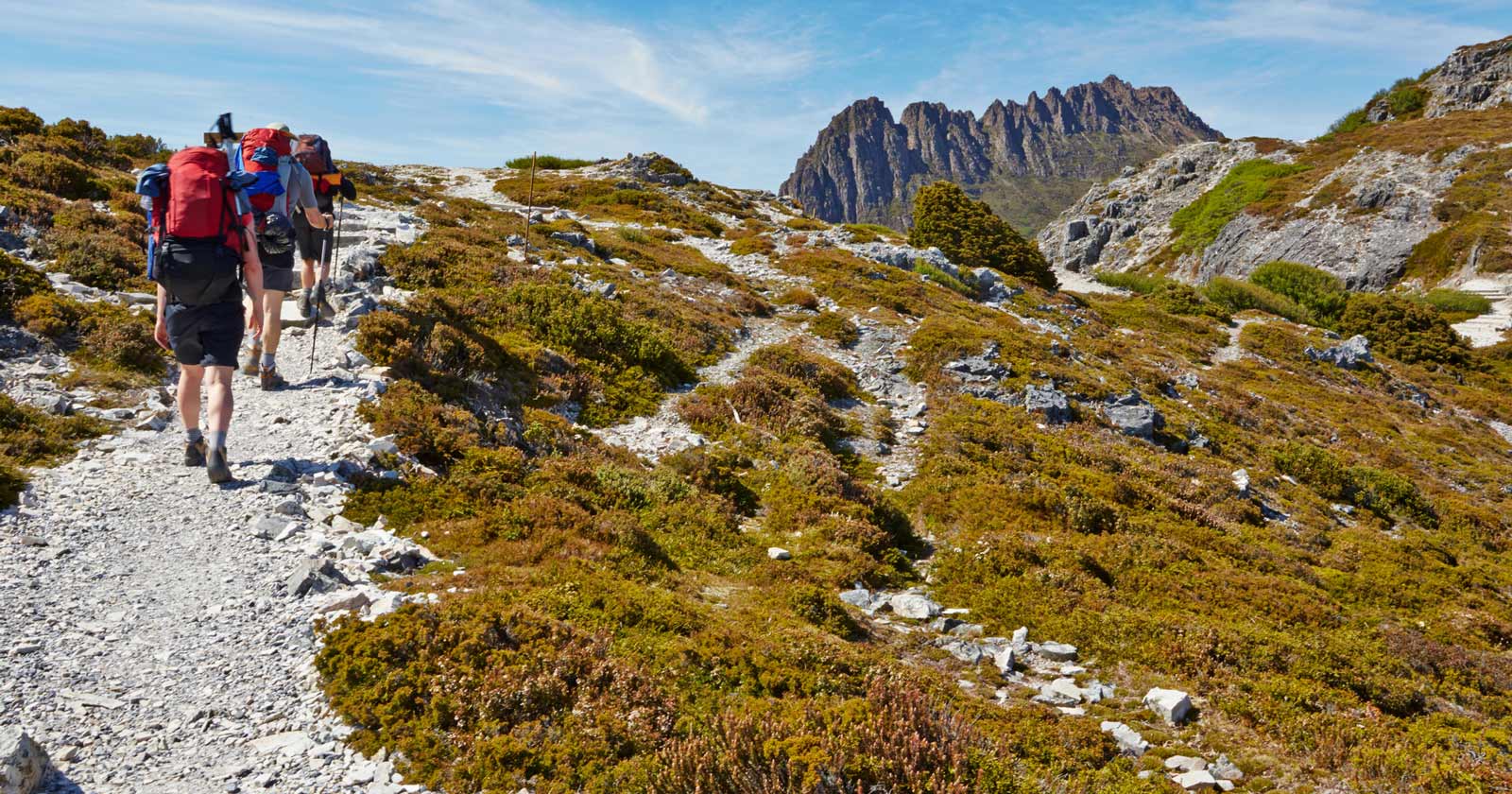 Hikers on the overland track, tasmania
