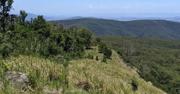 Pieries peak walking track