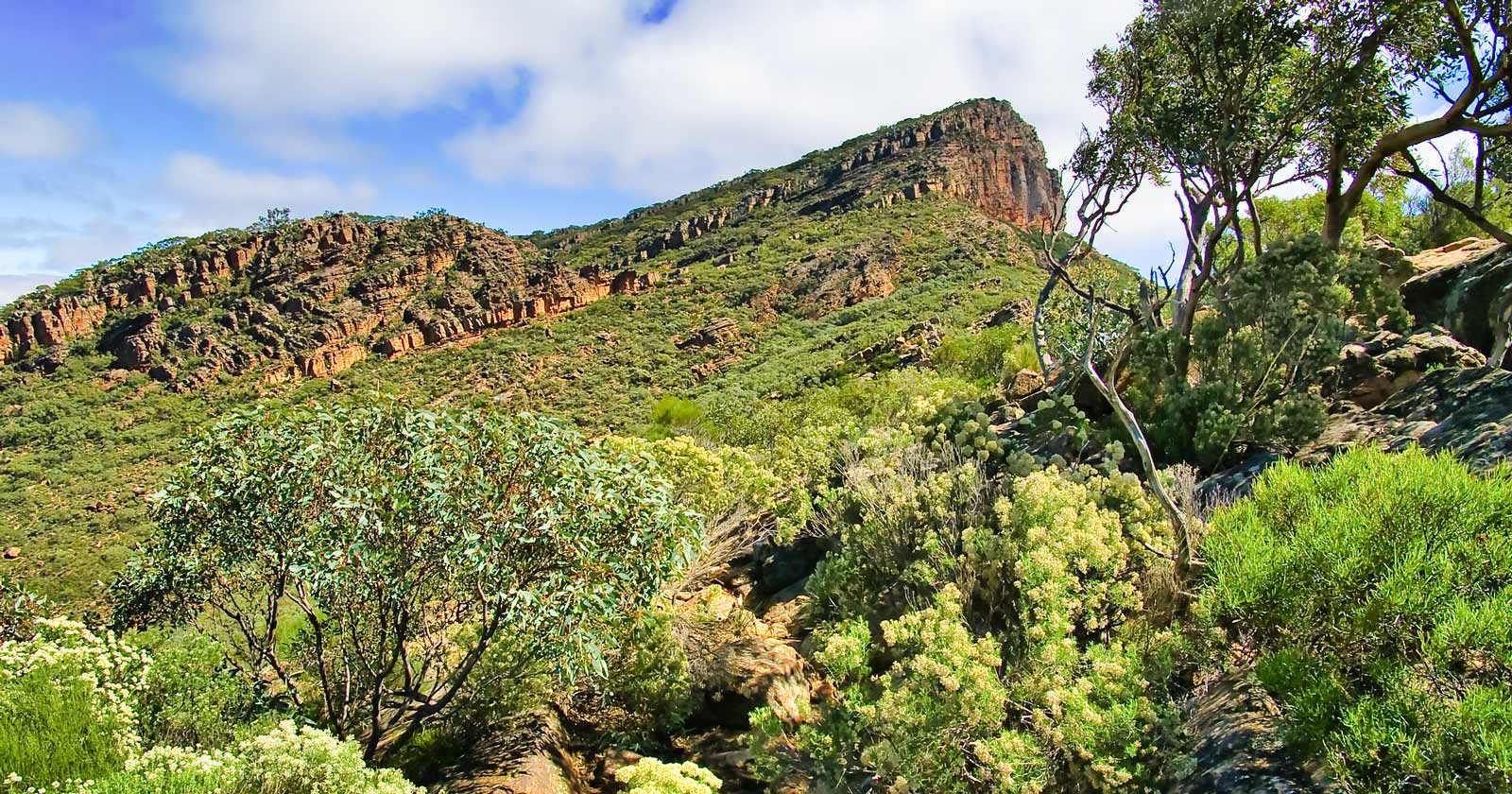 Hike South Australia: Explore Diverse Landscapes St mary peak ikara-flinders ranges national park