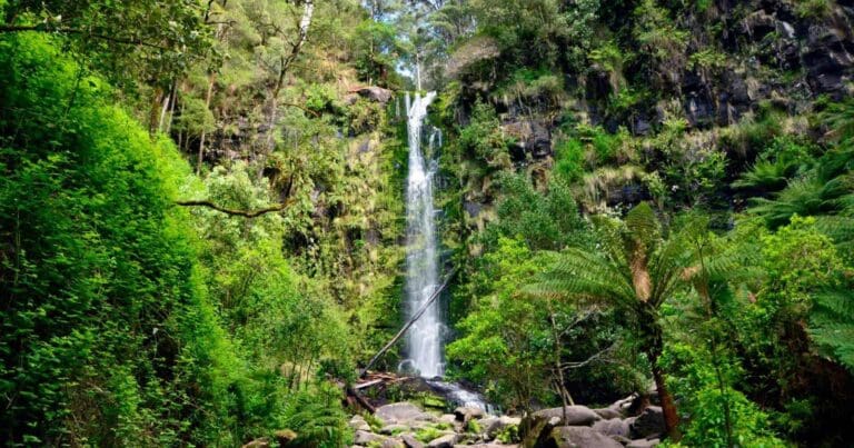 The erskine falls circuit walk
