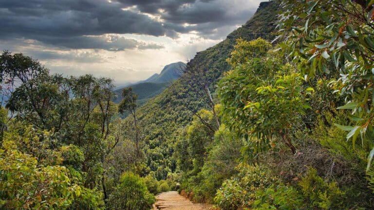 Bluff knoll, stirling range national park
