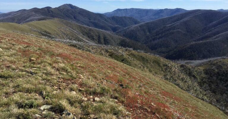 Mount feathertop bon accord spur