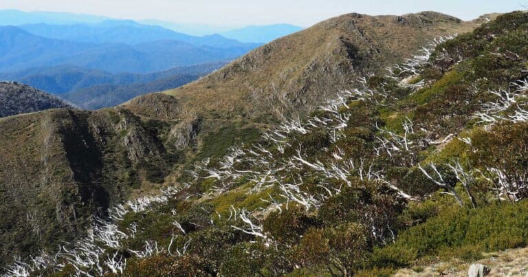 Mount feathertop north west spur