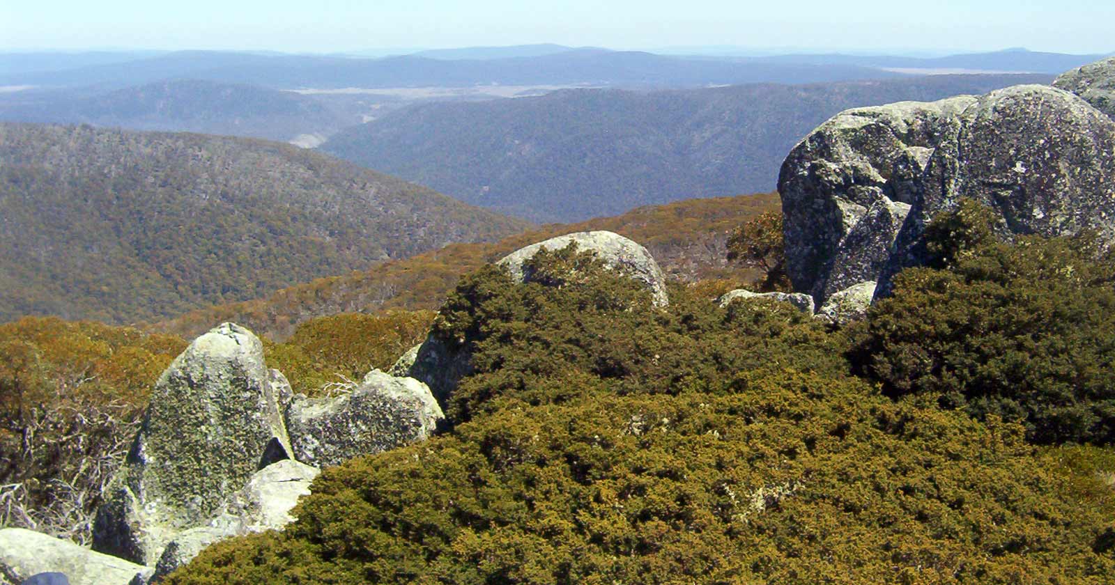 Mount ginini, namadgi national park