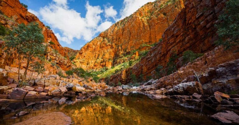 Ormiston pound, northern territory