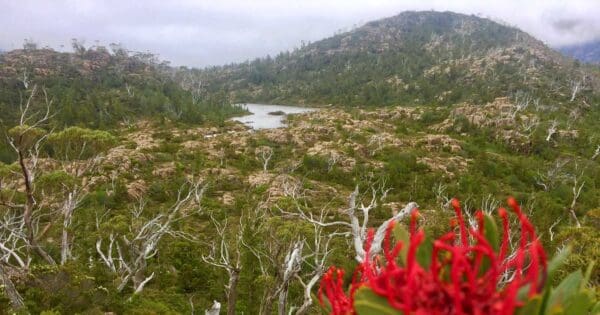 The labyrinth plateau