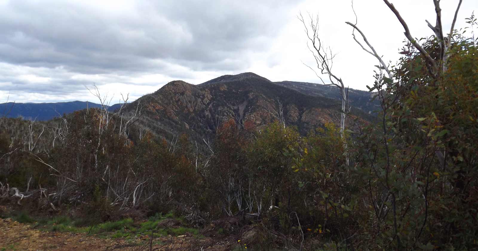 Tidbinbilla nature reserve
