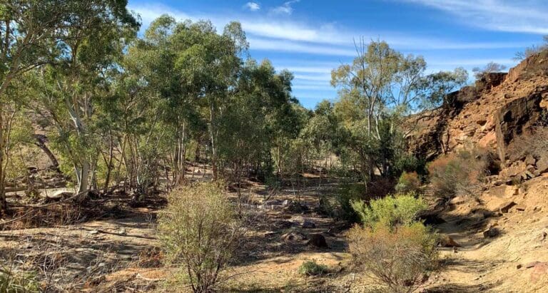 Walks and hikes near adelaide