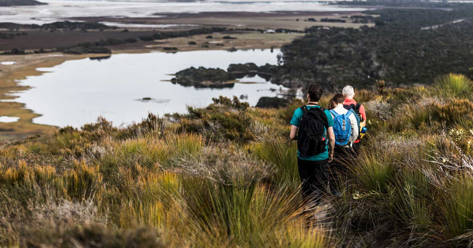 Archers knob circuit