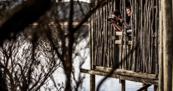 Bird Hide Walk Bird hide walk