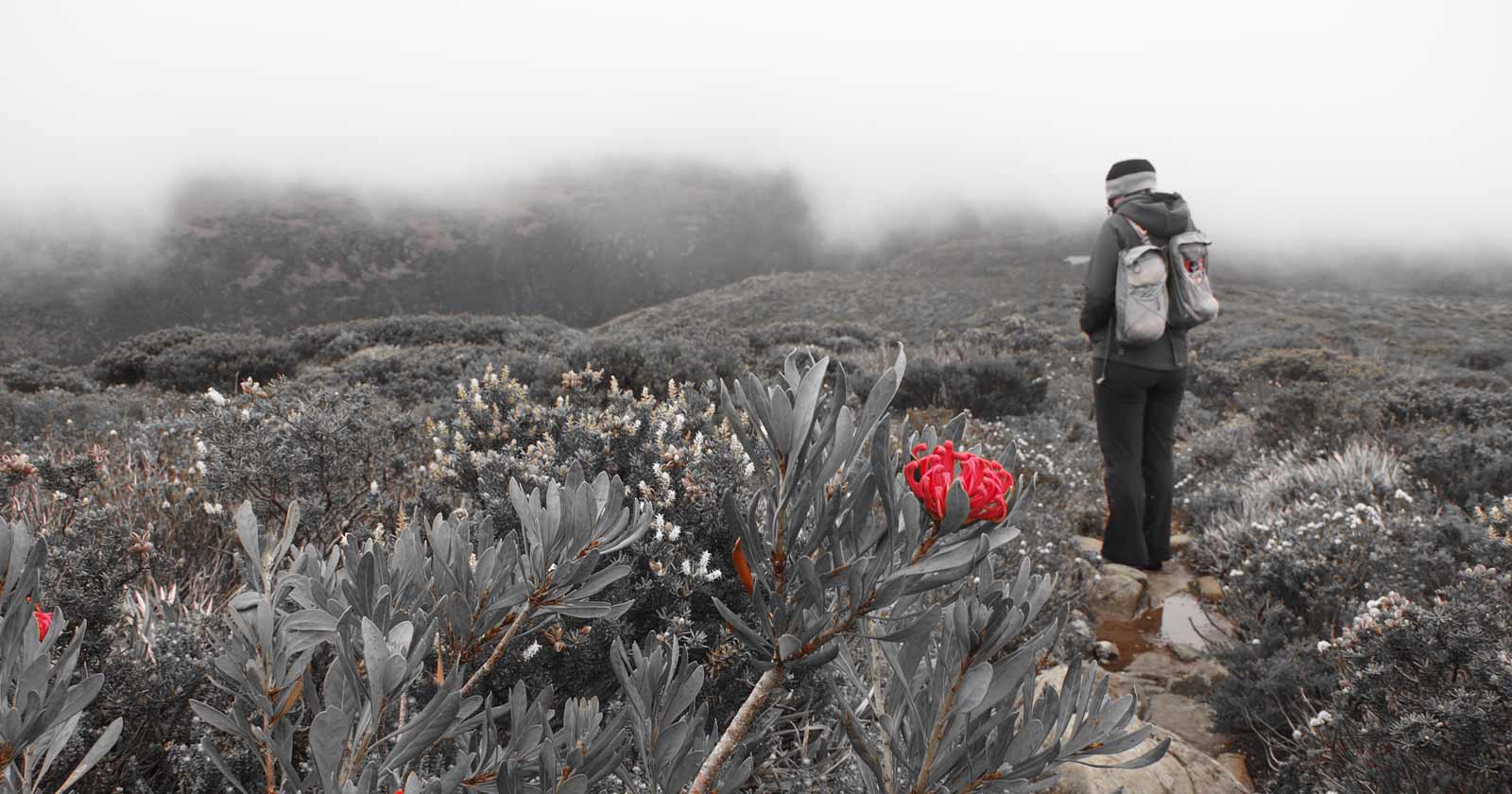 Day hikers are statistically more likely to need rescue