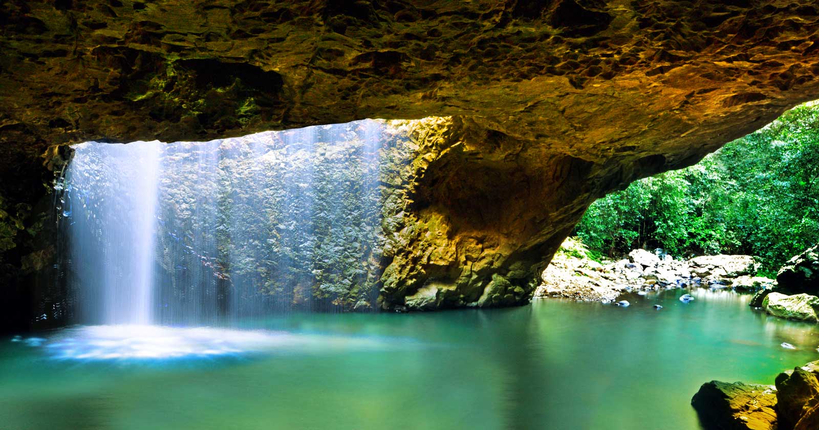 Exploring Springbrook National Park: A Natural Paradise Natural bridge walk