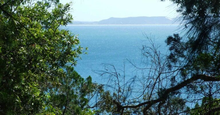 Noosa hill walk