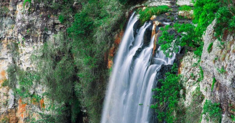 Springbrook national park