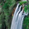 Springbrook national park