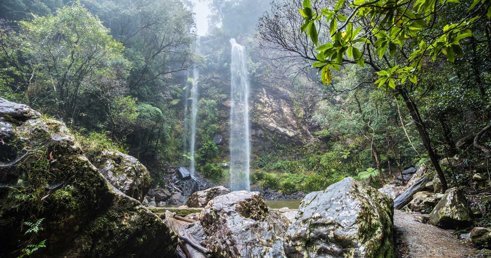 Exploring Springbrook National Park: A Natural Paradise Twin falls circuit walk