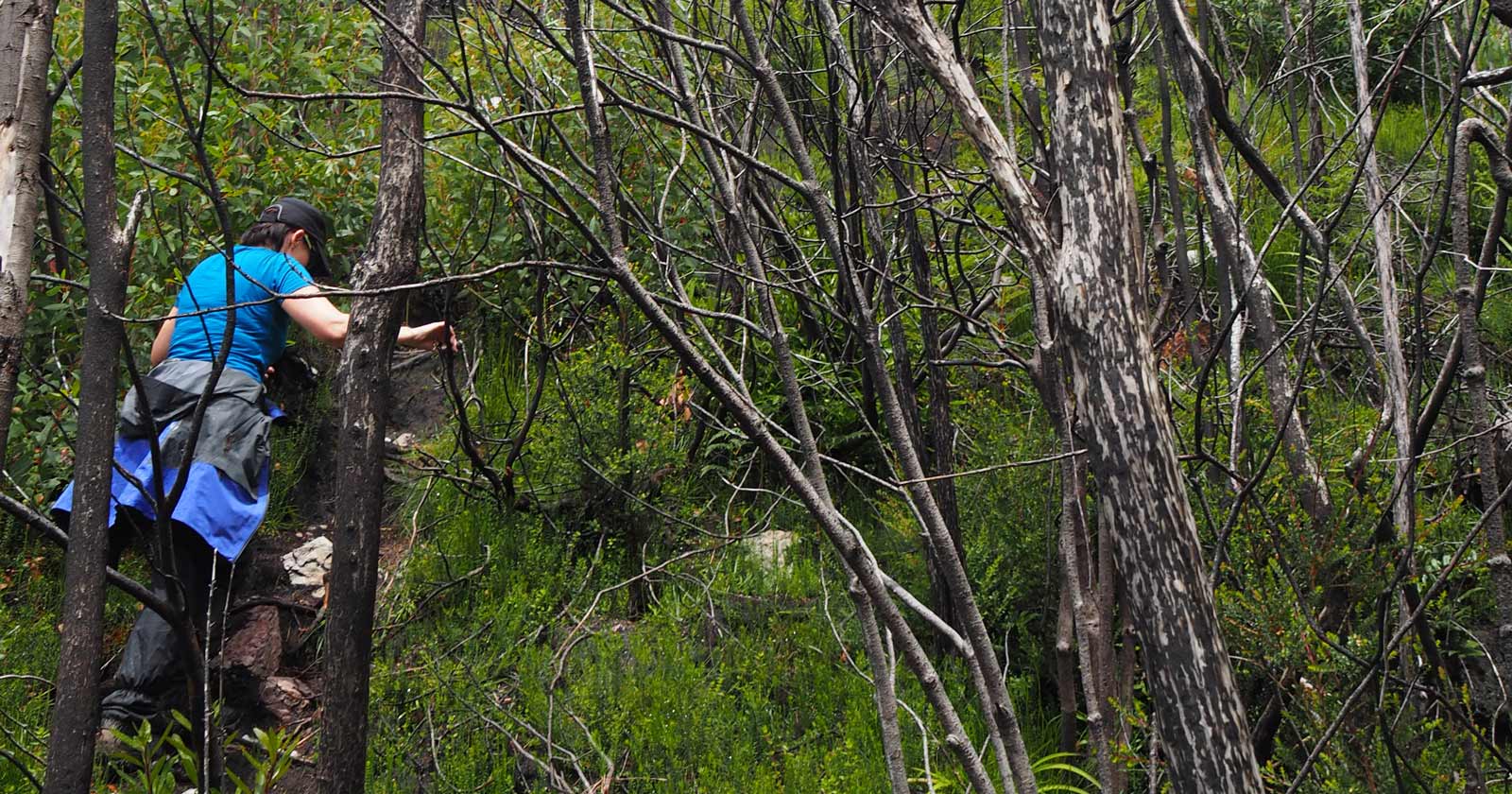 Underestimating the challenges of terrain