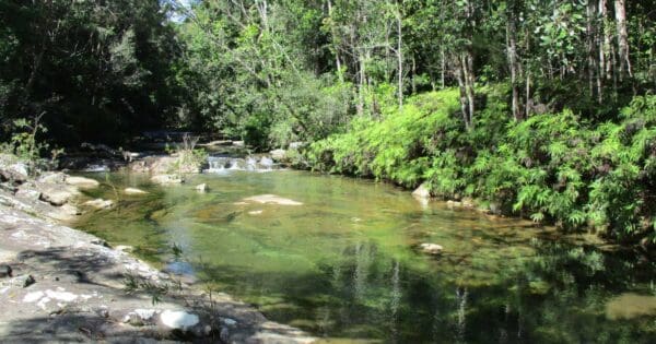 Birthday Creek Falls Walking Track Birthday creek falls walking track