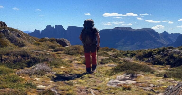 Bushwalking vs hiking whats in a name