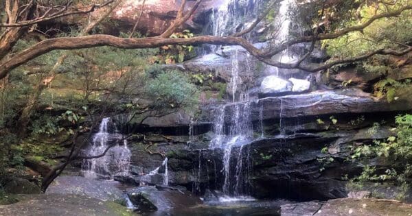 Hikes Girrakool to patonga 600x315