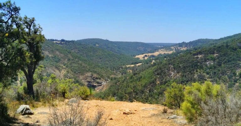 Baldwins bluff trail