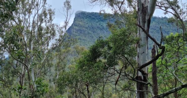 Heritage trail main range national park