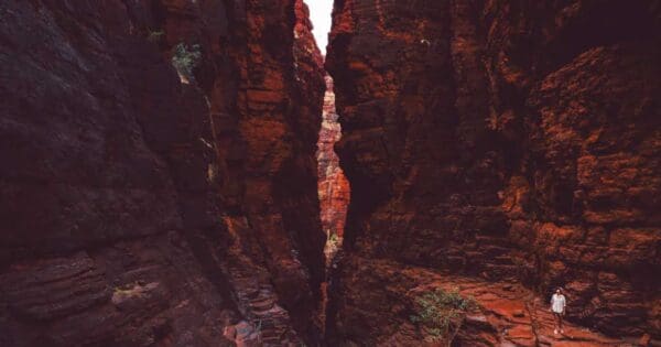 Knox gorge trail