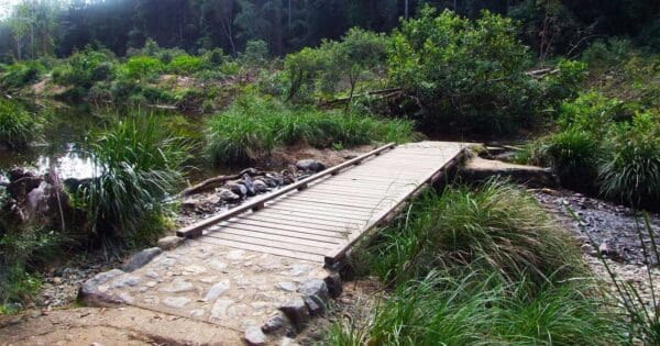 Little yabba circuit imbil state forest