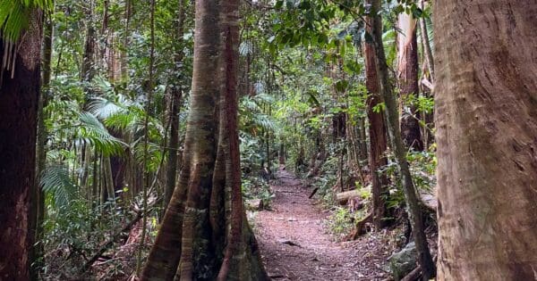 MacDonald Rainforest Circuit Macdonald rainforest circuit