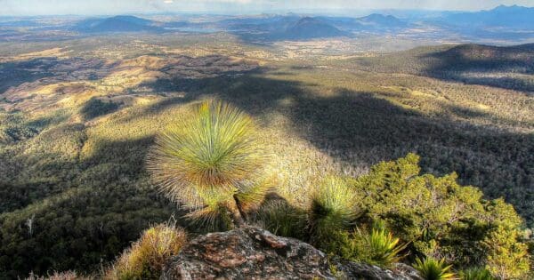 Mount cordeaux track main range national park