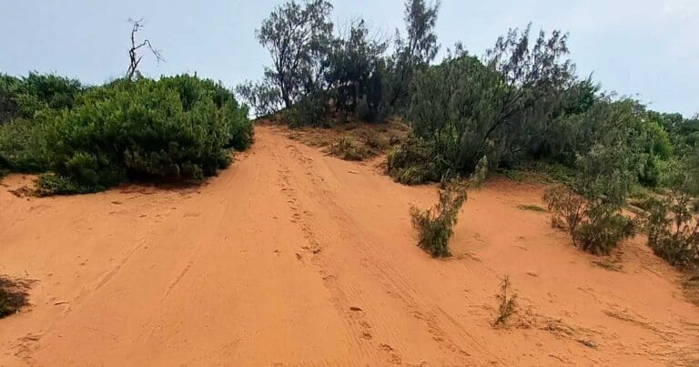 Orange Bowl Sand Blow Byfield National Park Orange bowl sand blow byfield national park