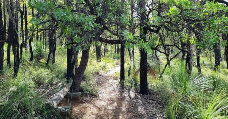 Walks and hikes near perth