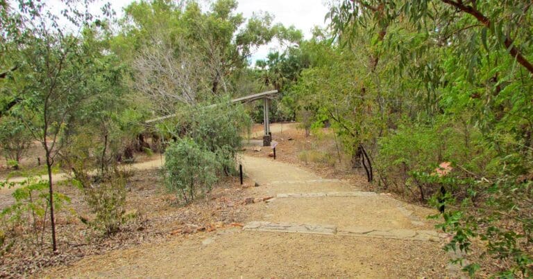 Rainbow serpent track
